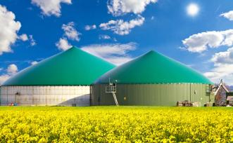 Einsatz im Biogasanlagen